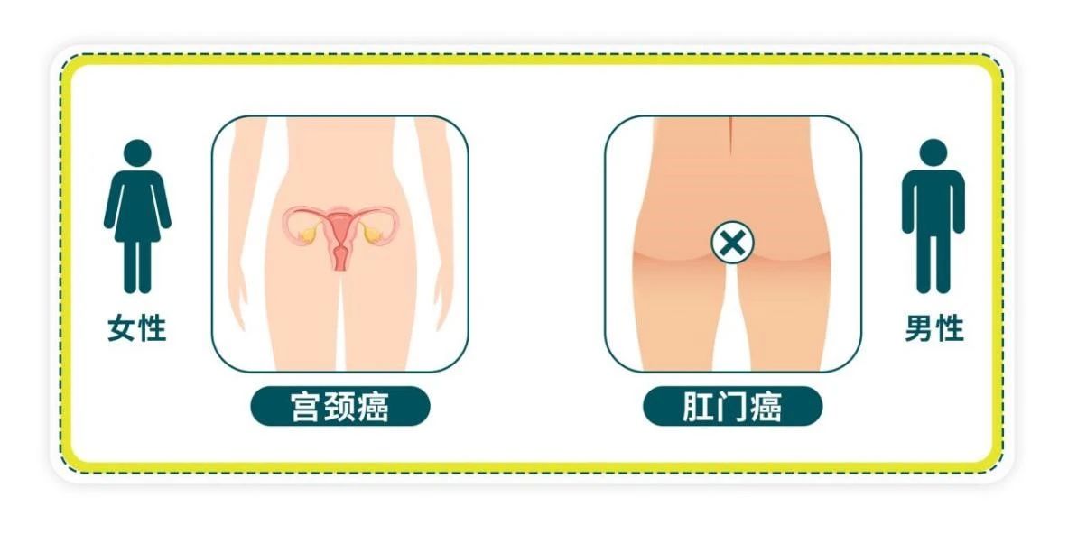 上海高端医院_HPV疫苗.jpg